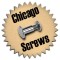 Replacement Set of Chicago Screws